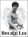 pic for bruce lee